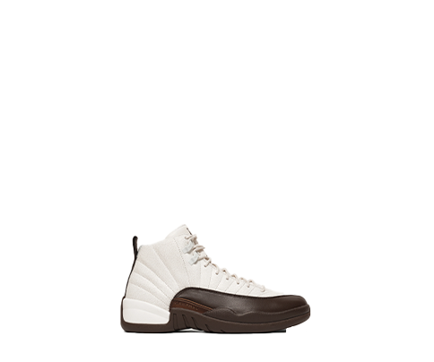 Air Jordan 12 Cafecito